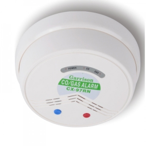 CO/GAS Alarm